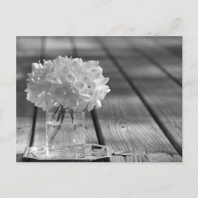 Carte Postale Gardenias (Devant)