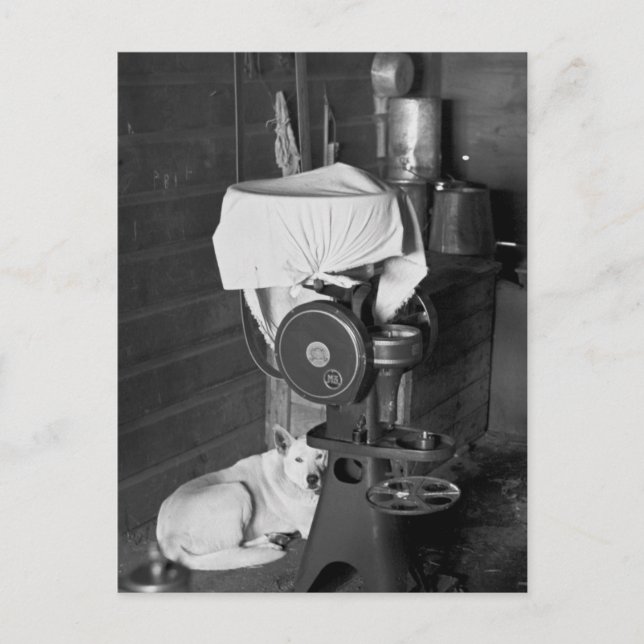 Carte Postale Garder le séparateur de crème, 1936 (Devant)