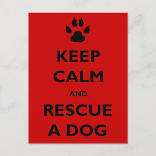 Carte Postale Gardez la secourt du chien calme