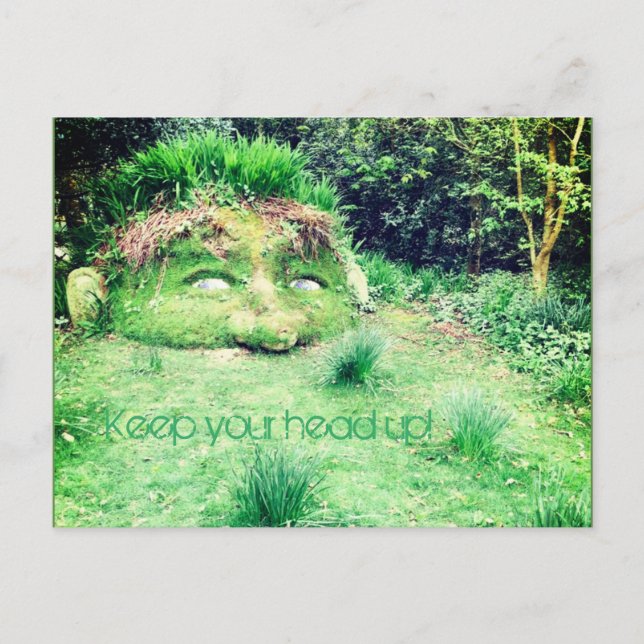 Carte Postale Gardez la tête haute ! (Devant)