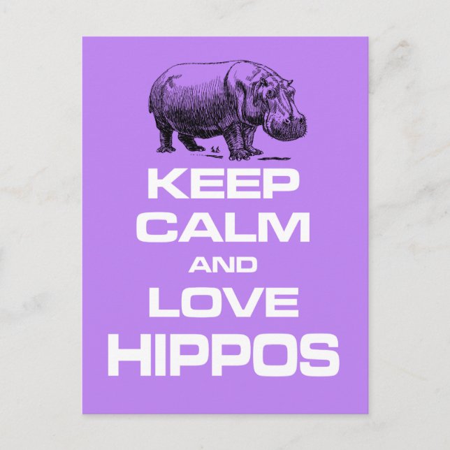 Carte Postale Gardez le calme et l'amour Hippopotame Hippotamus  (Devant)