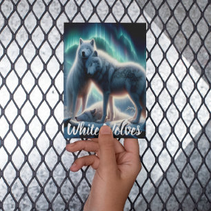 Carte Postale Gardiens de l'Arctique