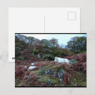 Carte Postale Gardiens du Glen