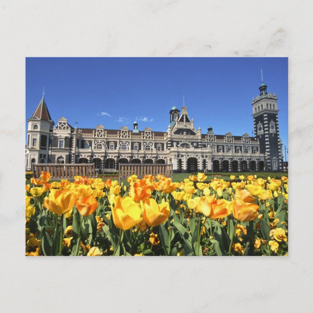 Carte Postale Gare de Dunedin (Devant)