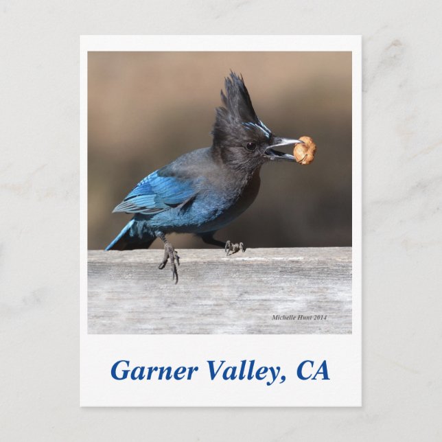 Carte postale Garner Valley (Devant)