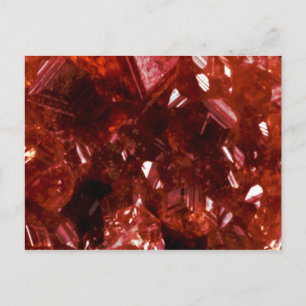 Carte Postale Garnet