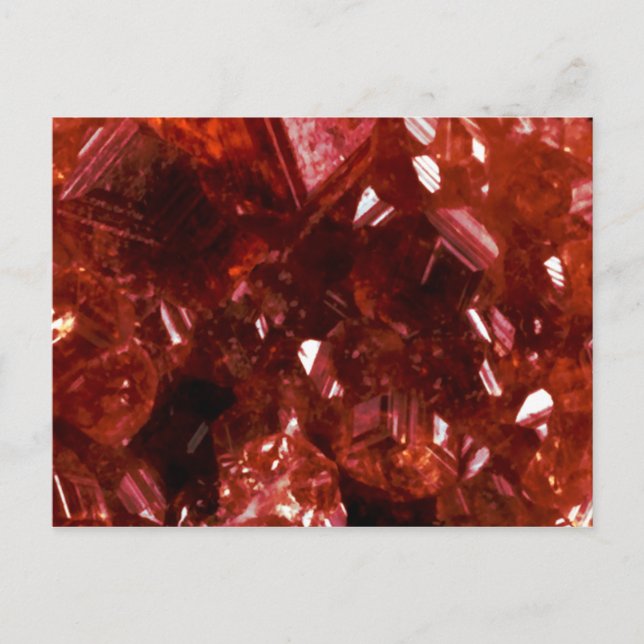 Carte Postale Garnet (Devant)
