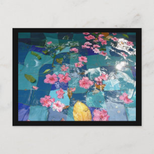 Carte Postale garnir sur l'eau
