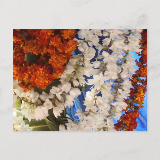 Carte Postale Garrière de fleurs indiennes (Devant)