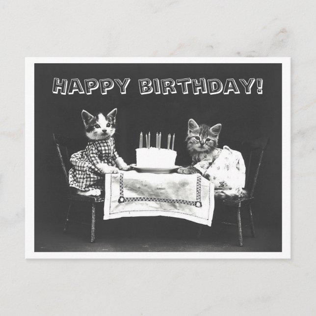 Carte Postale Gâteau d'anniversaire de chat vintage bizarrerie (Devant)