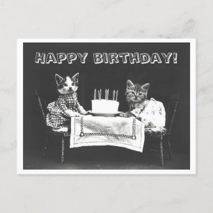 Carte Postale Gâteau d'anniversaire de chat vintage Oddity