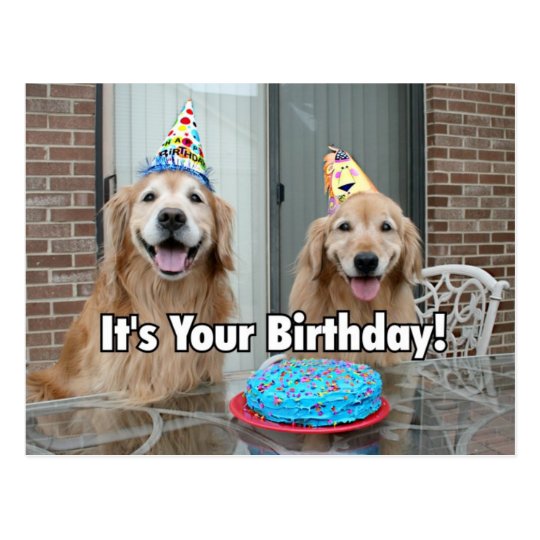 Carte Postale Gateau De Joyeux Anniversaire De Golden Retriever Zazzle Fr