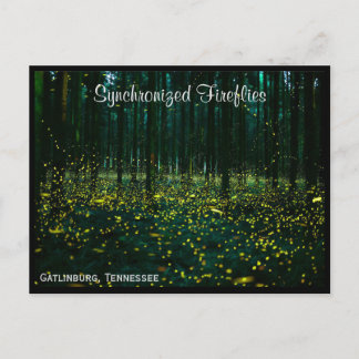 Carte postale Gatlinburg Tennessee TN