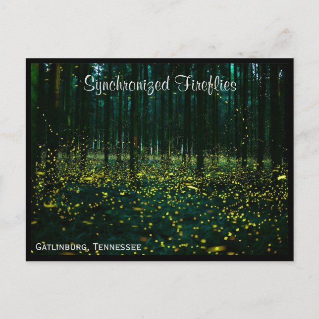 Carte postale Gatlinburg Tennessee TN (Devant)