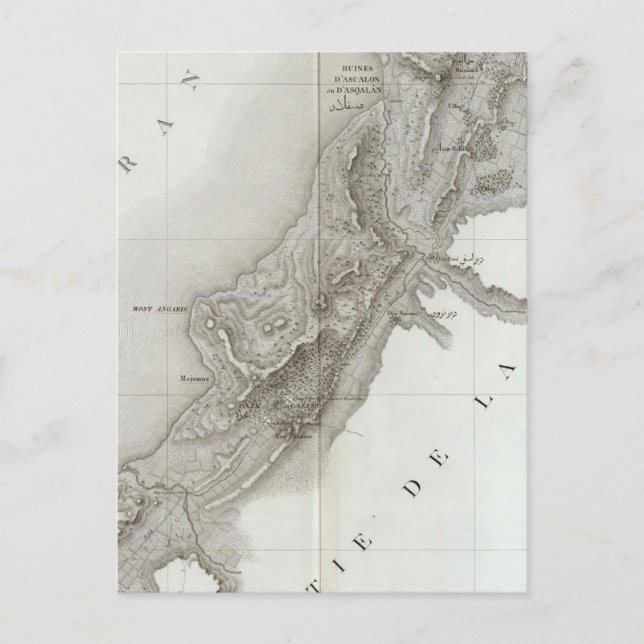 Carte Postale Gaza, Israël (Devant)