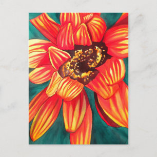 Carte Postale Gazania desert flower art par Sacha Grossel