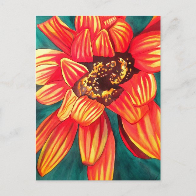 Carte Postale Gazania desert flower art par Sacha Grossel (Devant)