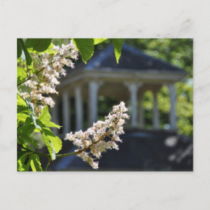 Carte postale 'Gazebo'