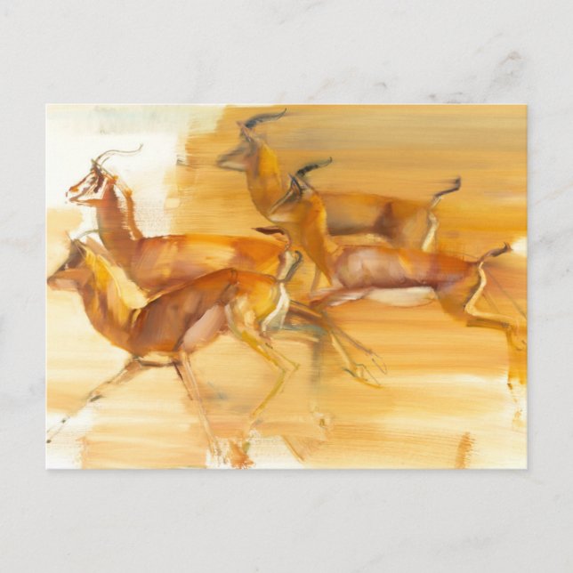 Carte Postale Gazelles courantes 2010 (Devant)