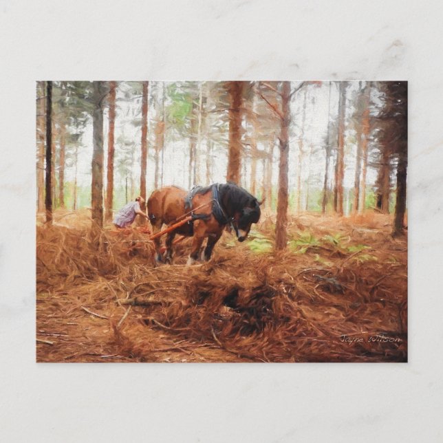 Carte Postale Géant doux - Cheval à l'oeuvre dans la forêt (Devant)