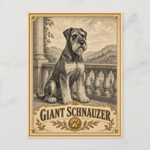 Carte Postale Géant Schnauzer, Chien du Patrimoine Vintage