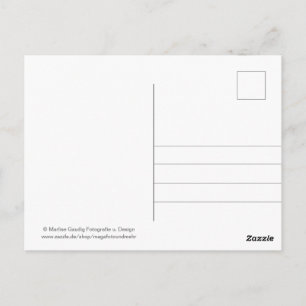 Carte Postale Geburtstags Schneckenpost