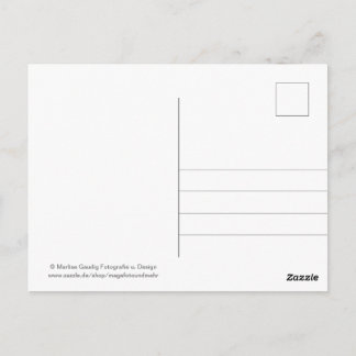 Carte Postale Geburtstags Schneckenpost