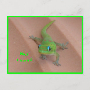 Carte Postale Gecko Gold Dust Day
