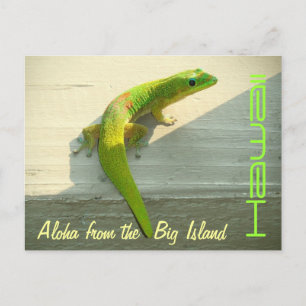 Carte postale gecko hawaïen saluant
