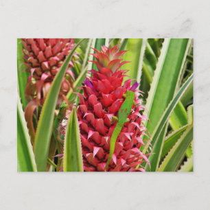 Carte Postale Geckos jour de poussière d'or mou sur un ananas