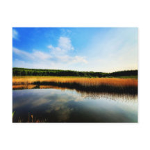 Gedling Country Park
