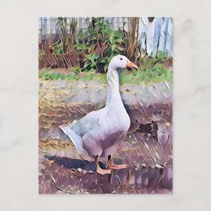 CARTE POSTALE GEESE