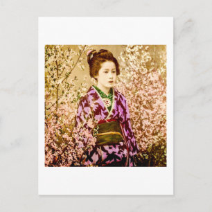 Carte Postale Geisha vintage Pose en fleurs de cerisiers