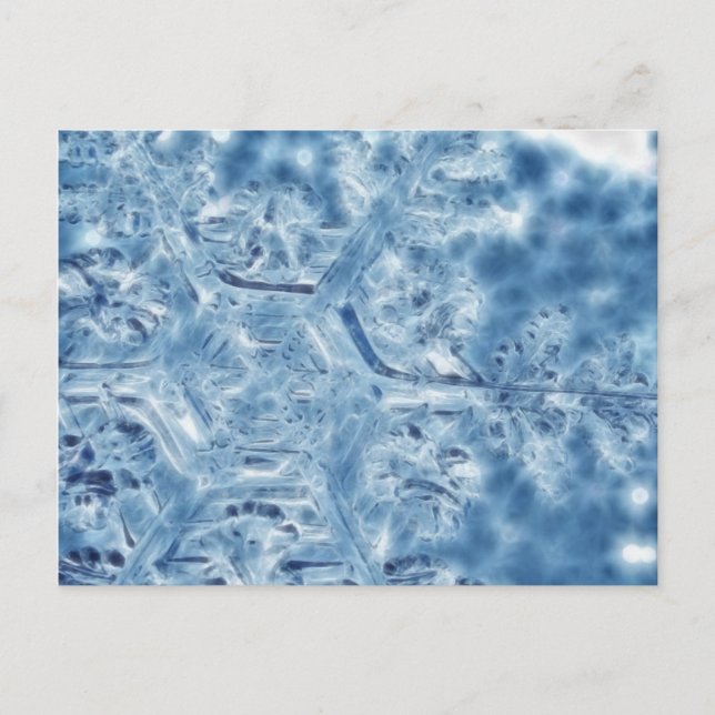 Carte Postale Gelée Cristal de glace Flocon de neige fractal (Devant)