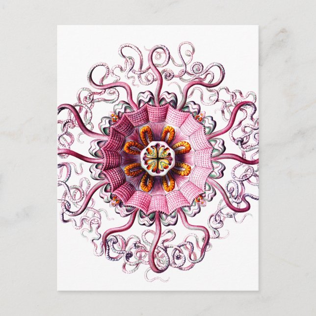 Carte Postale gelée rose avec points verts clair copie.png (Devant)