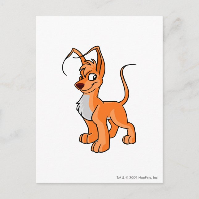 Carte Postale Gelert Orange (Devant)