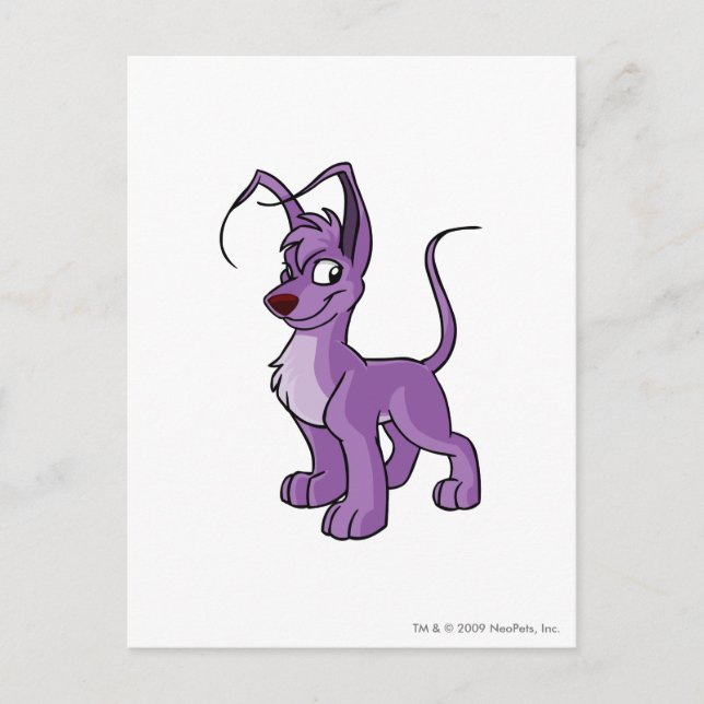 Carte Postale Gelert Purple (Devant)