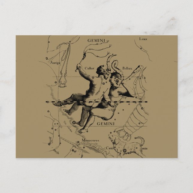 Carte Postale Gemini Constellation Zodiac Hevelius 1690 (Devant)