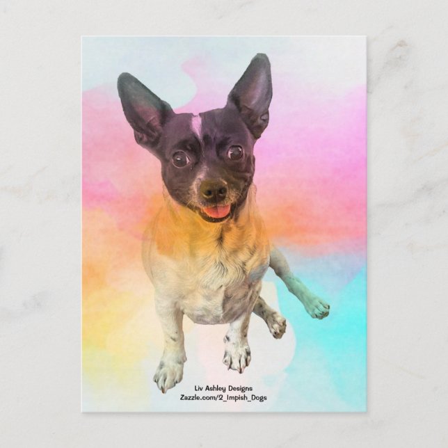 Carte postale Gemma Disco (Devant)