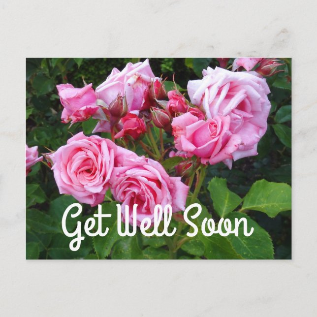 Carte postale Gene Boerner Rose #3 "Remettez-vous  (Devant)
