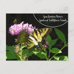 Carte Postale Gene Stratton Porter's Garden à Fleur sauvage Wood