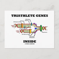 Gènes Triathlète à l'intérieur (réplication de l'A