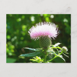 carte postale géniale