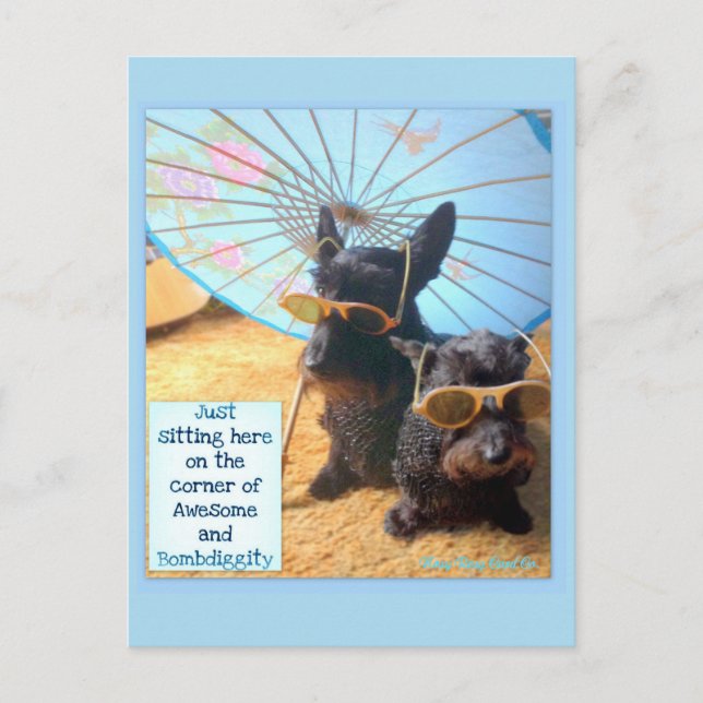 Carte postale géniale & Bombdiggity (Devant)