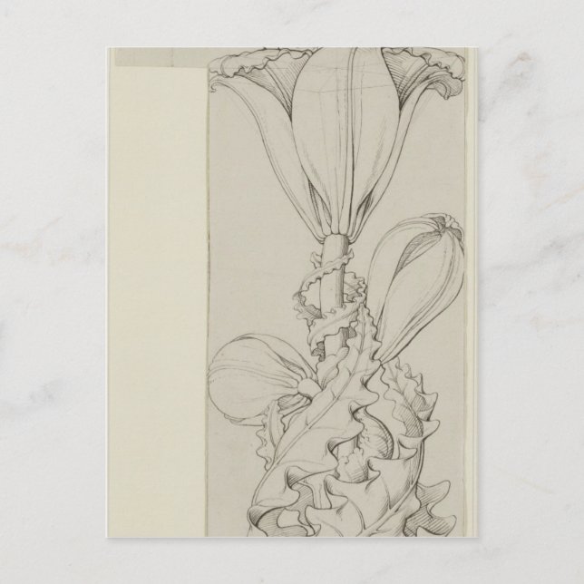 Carte Postale Génie de la Lily, 1809 (Devant)