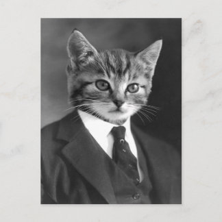 Carte postale Gentleman Chat #1