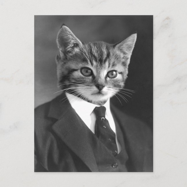 Carte postale Gentleman Chat #1 (Devant)