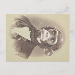 Carte Postale Gentleman Chimpanzé en photo Vintage