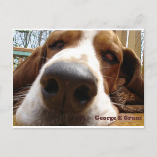 Carte Postale George
