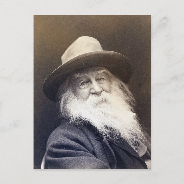 Carte Postale George C. Cox Walt Whitman (Devant)